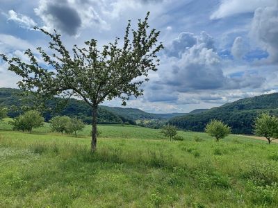 Rund um Holsthum