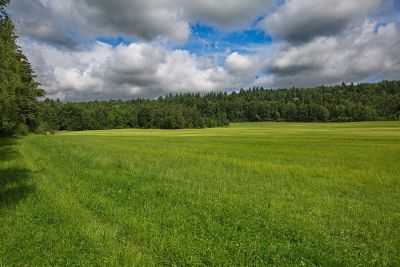 Zwischen Kirnberg - und Unteroestheim