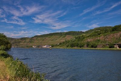 Moselblick