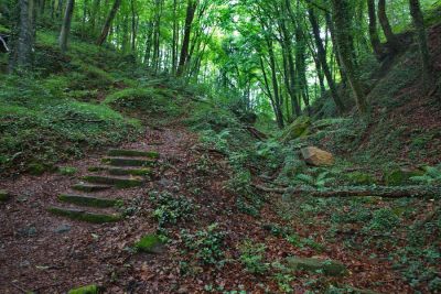 Der Felsenweg 5