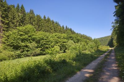 Plütscheid