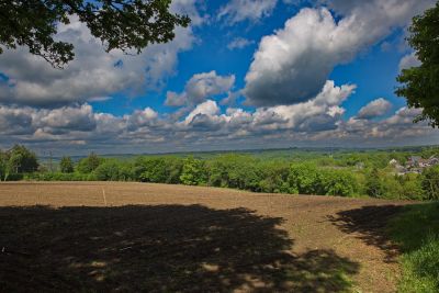 Feld und Wald