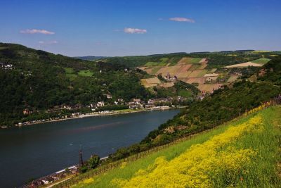 Blick auf Bacharach