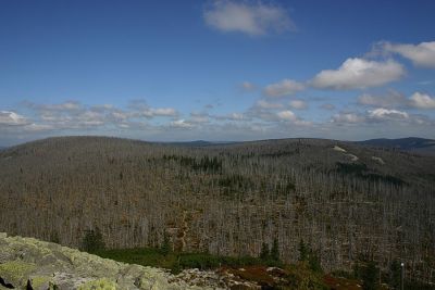 Ausblick vom Lusen