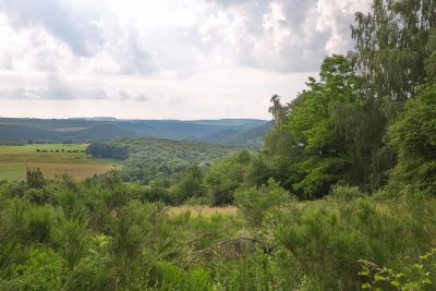 Felsenweg 6