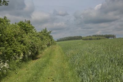 Das Irsental