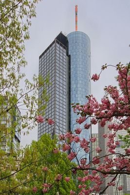 Rhein-Main-Tower