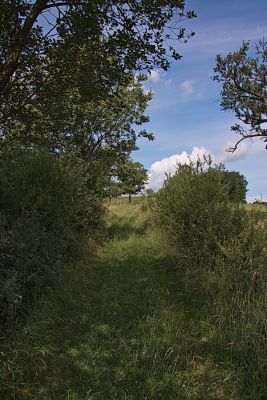 Wiesenweg