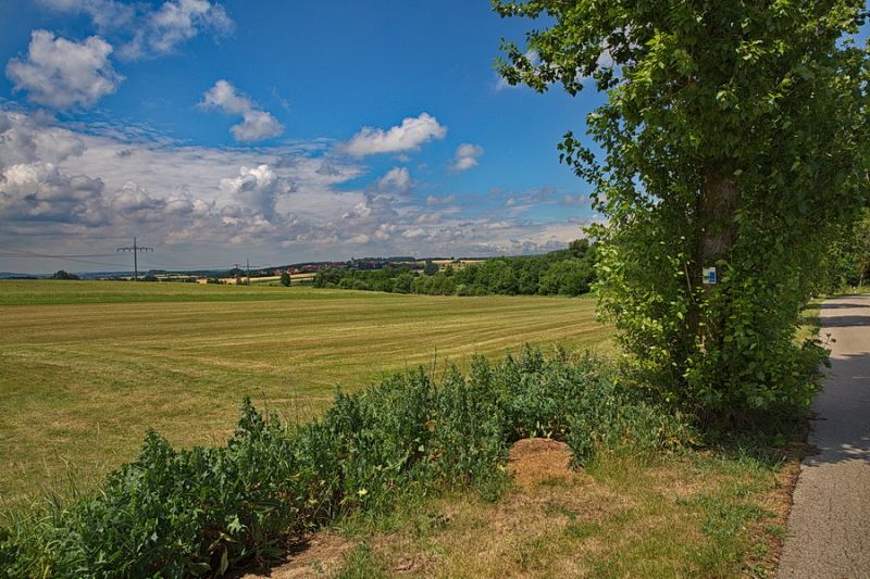 Zwischen Ansbach und Colmberg