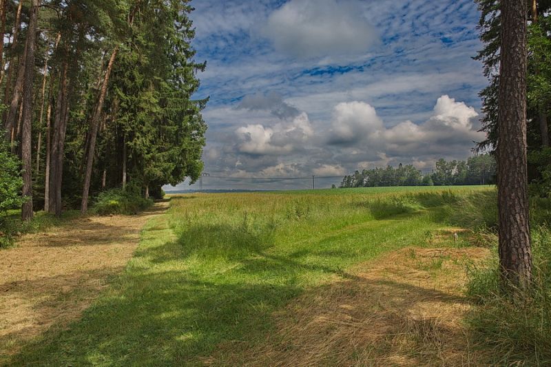 Zwischen Ansbach und Colmberg