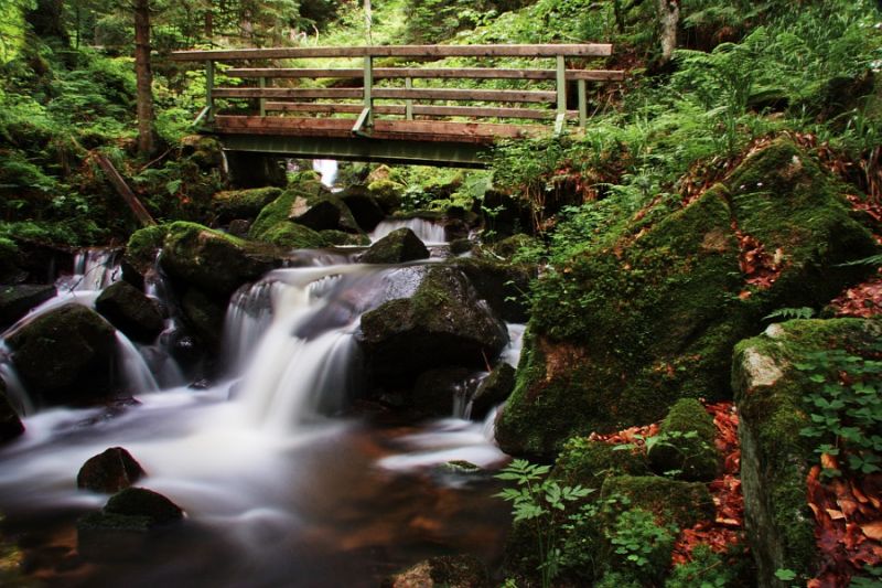 In der Windbergschlucht