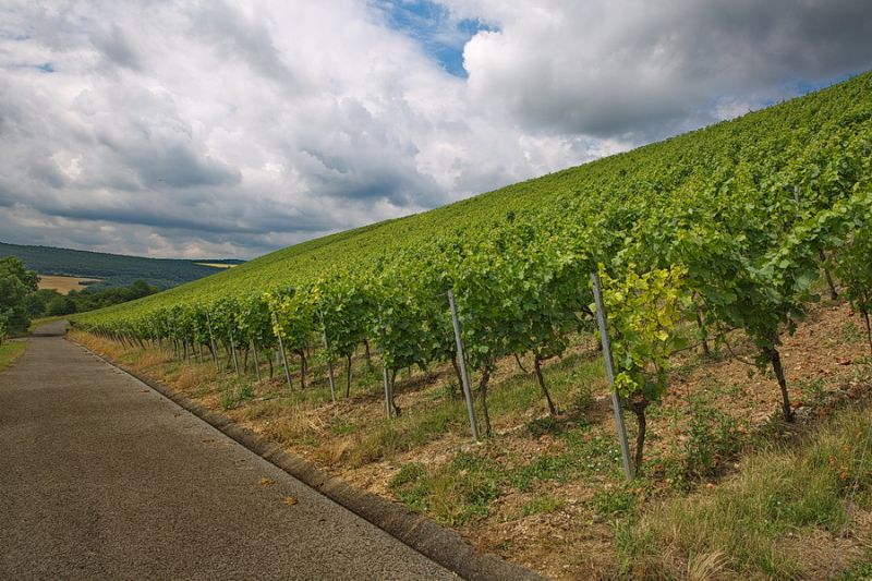 Zwischen Röttingen und Tauberrettersheim