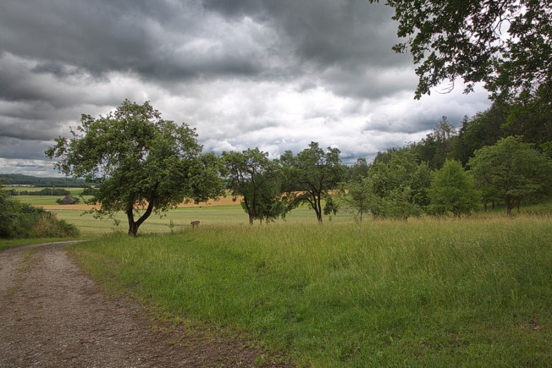 Zwischen Unteroestheim und Schnelldorf