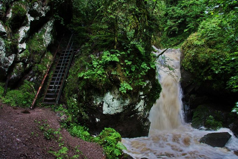 Wilde Klamm