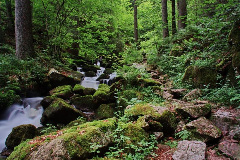 In der Windbergschlucht